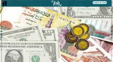 أسعار صرف العملات في أسوان تسجل استقرارًا الخميس 23 أكتوبر 2025